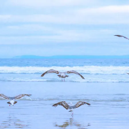 Miriam 펜션 줄리아나도르프