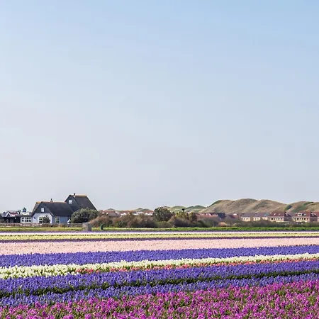 Miriam * 줄리아나도르프