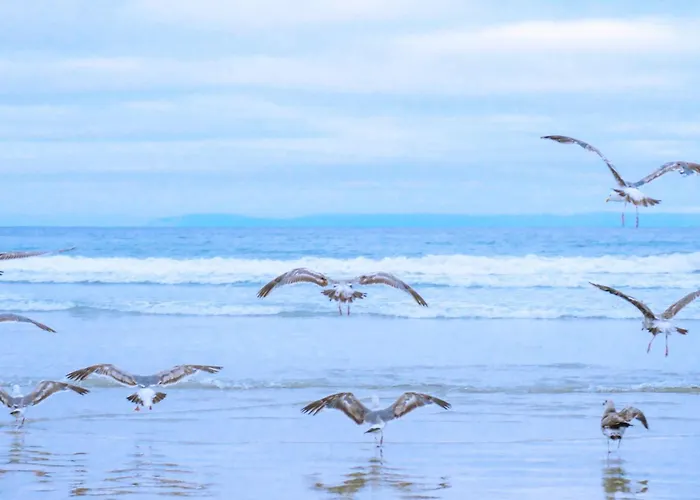 Miriam Σπίτι διακοπών Julianadorp